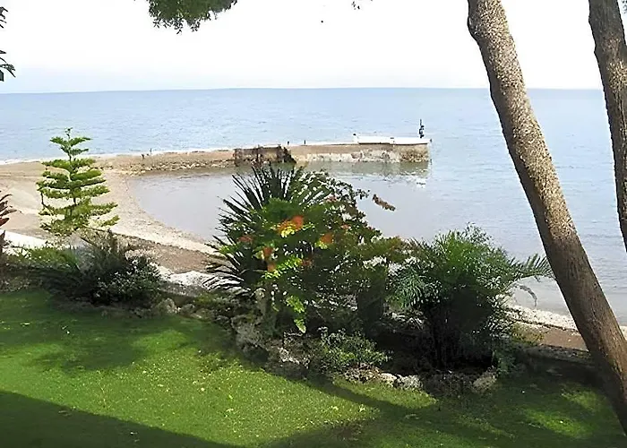 Отель Flores